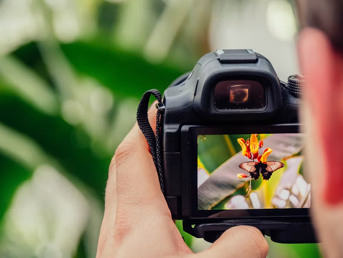 capturing pictures